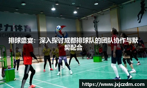 排球盛宴：深入探讨成都排球队的团队协作与默契配合